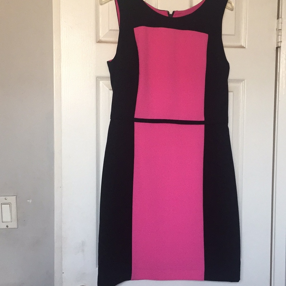 Banana Republic Pink and Black Sheath Mini Dress